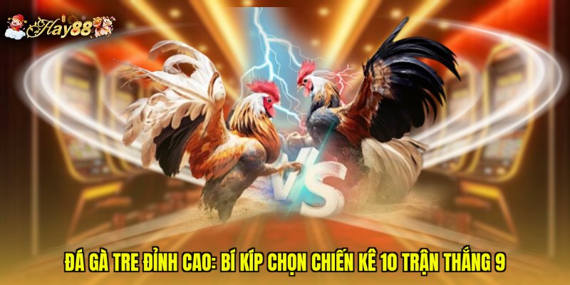 Đá Gà Tre Đỉnh Cao: Bí Kíp Chọn Chiến Kê 10 Trận Thắng 9