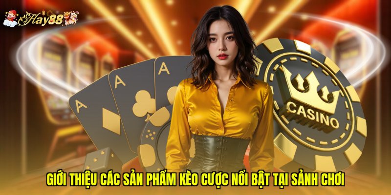 Giới thiệu các sản phẩm kèo cược nổi bật tại sảnh chơi