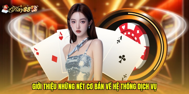 Giới thiệu những nét cơ bản về hệ thống dịch vụ