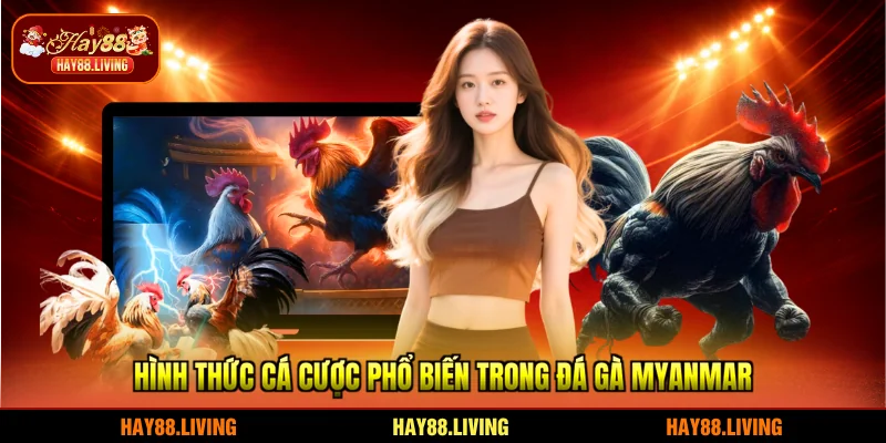 Hình thức cá cược phổ biến trong đá gà Myanmar
