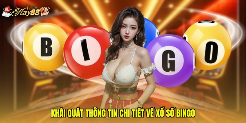 Khái quát thông tin chi tiết về xổ số Bingo