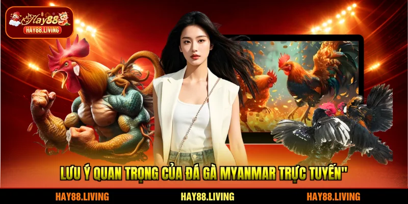 Lưu ý quan trọng của đá gà Myanmar trực tuyến