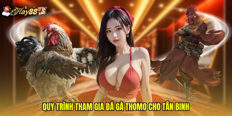 Quy trình tham gia đá gà Thomo cho tân binh