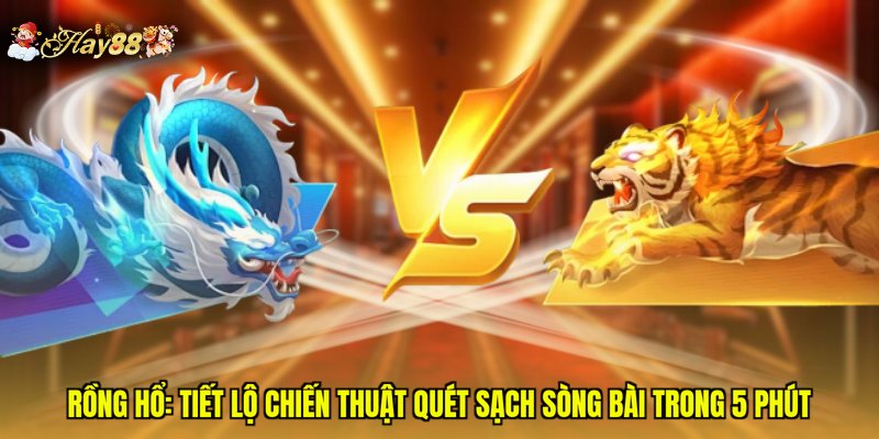Rồng Hổ: Tiết Lộ Chiến Thuật Quét Sạch Sòng Bài Trong 5 Phút