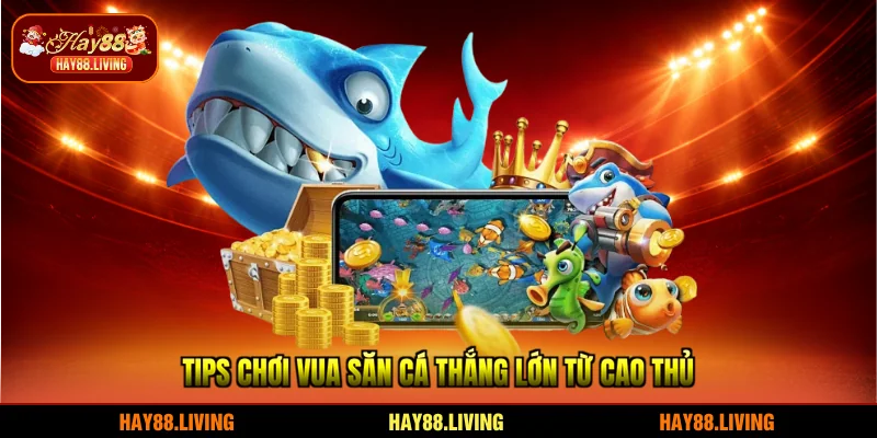 Tips chơi Vua Săn Cá thắng lớn từ cao thủ